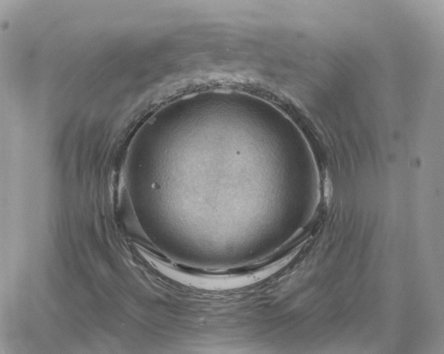 X0000066091492200603171042