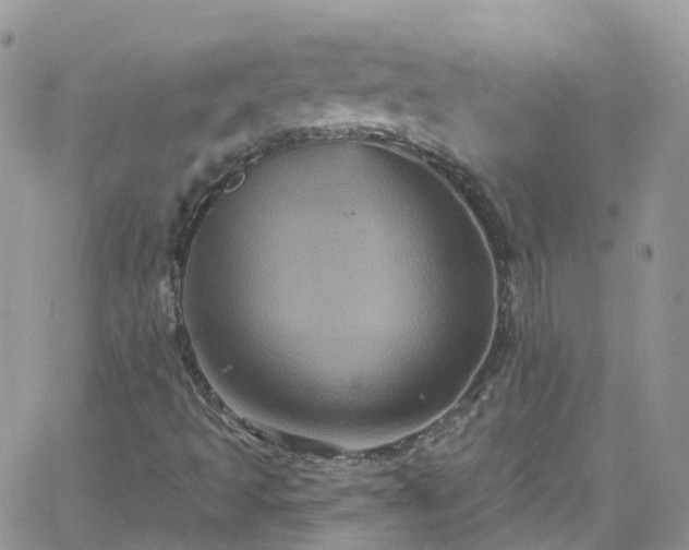 X0000066091493200603171042