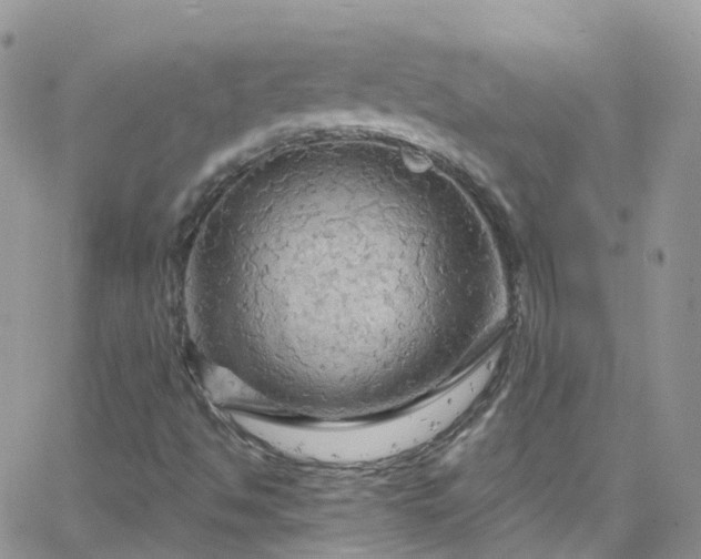 X0000066091494200603171042