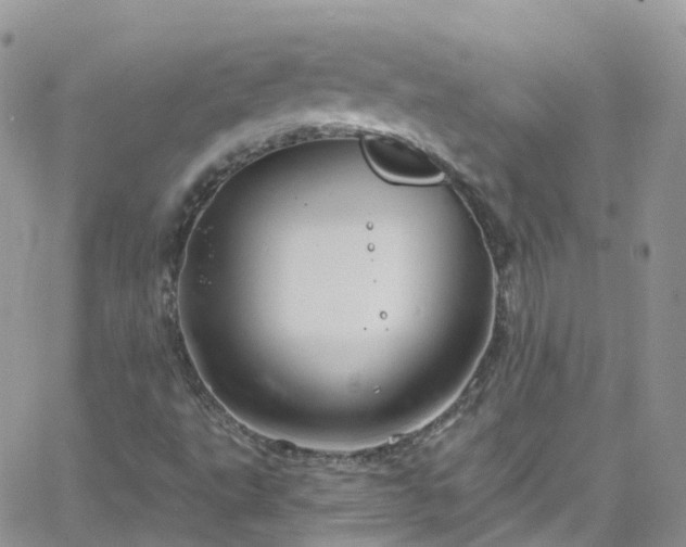 X0000066091495200603171042