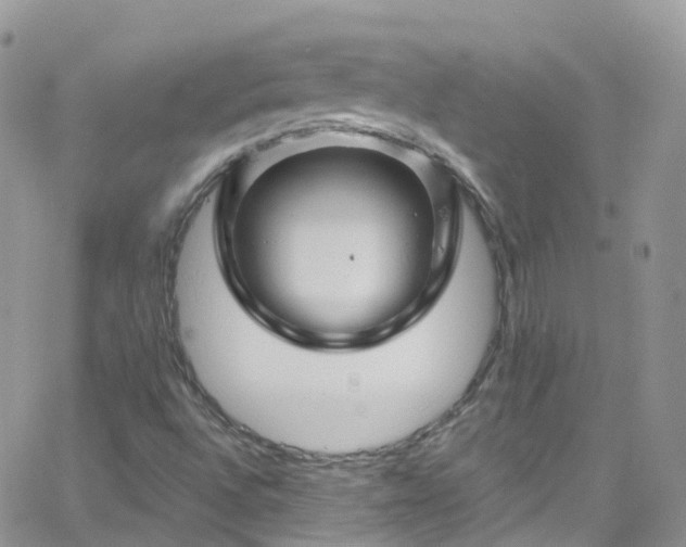 X0000066091496200603171042