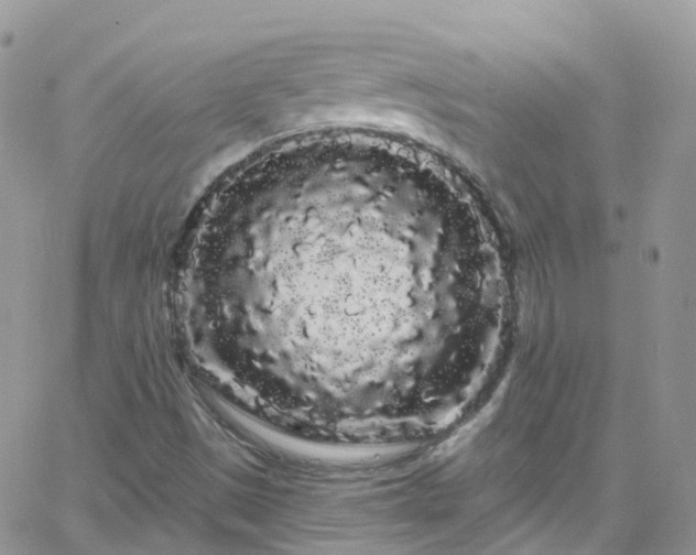 X0000066091497200603171042