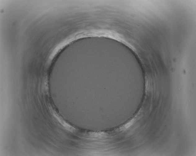 X0000066091498200603171042