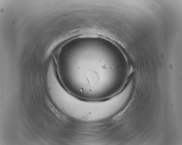 X0000066091499200603171042