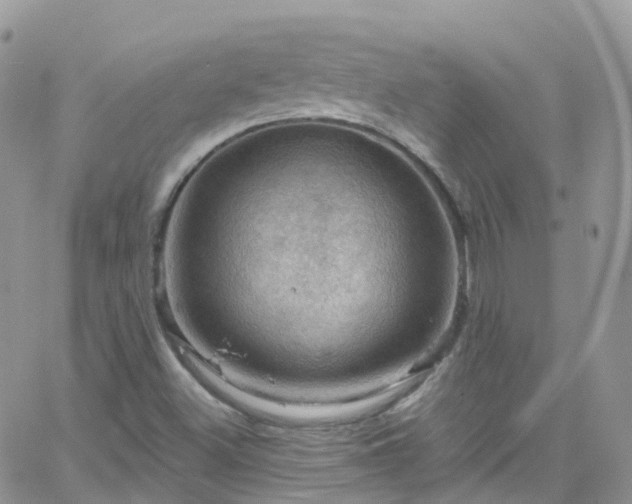 X0000066091500200603171042