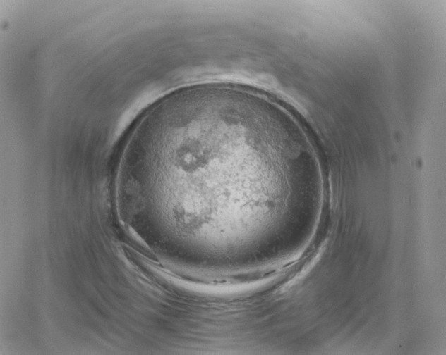 X0000066091501200603171042