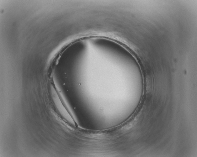 X0000066091502200603171042