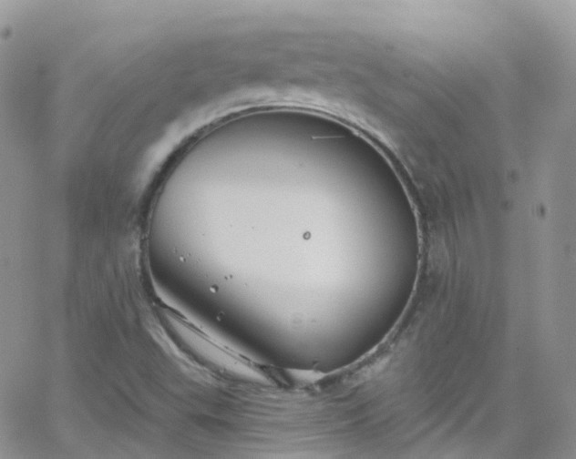 X0000066091503200603171042