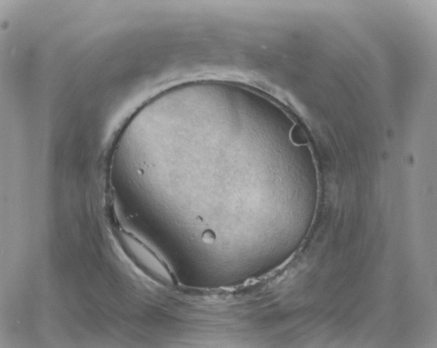 X0000066091504200603171042