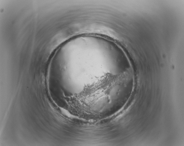 X0000066091505200603171042