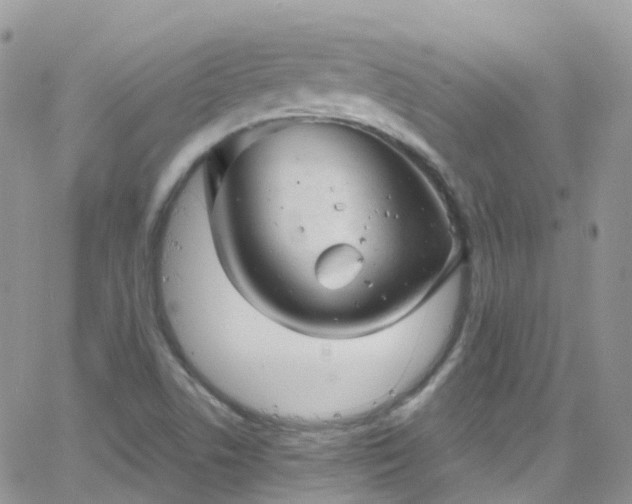 X0000066091506200603171042