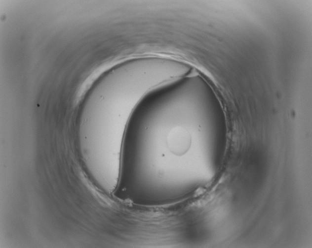 X0000066091507200603171042