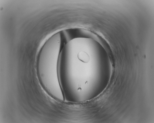 X0000066091508200603171042