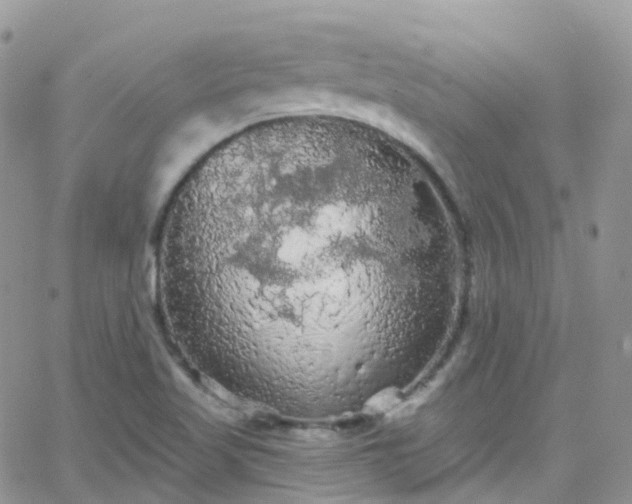 X0000066091509200603171042