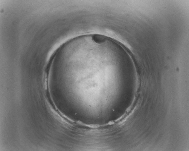 X0000066091510200603171042