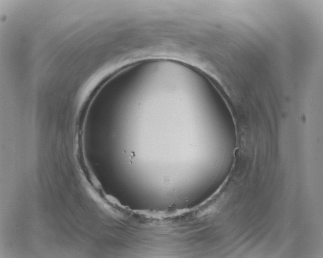 X0000066091511200603171042