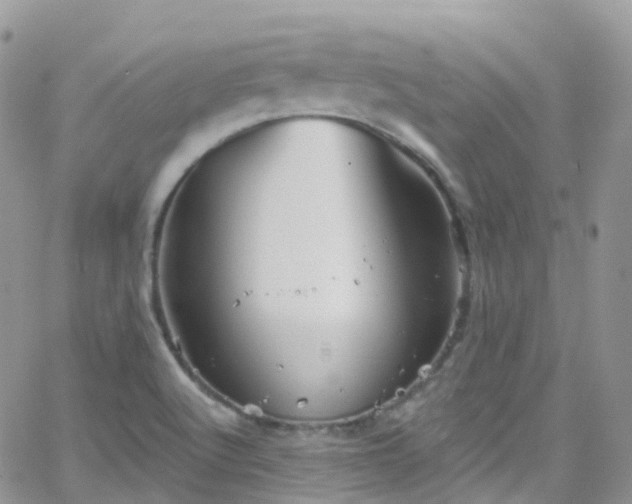 X0000066091512200603171042