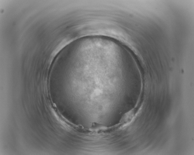 X0000066091513200603171042