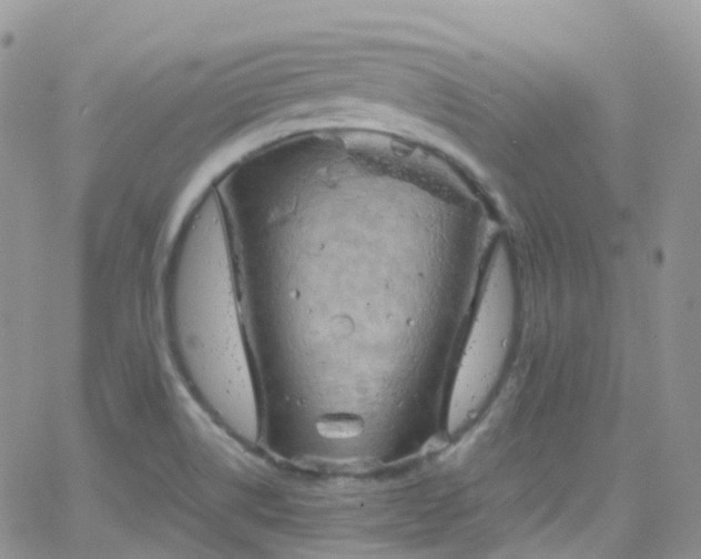 X0000066091514200603171042