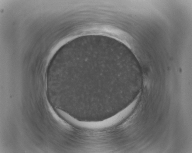 X0000066091515200603171042