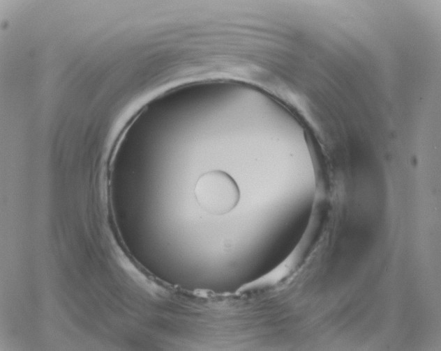 X0000066091516200603171042