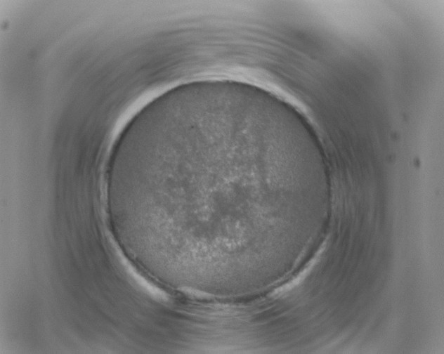 X0000066091517200603171042