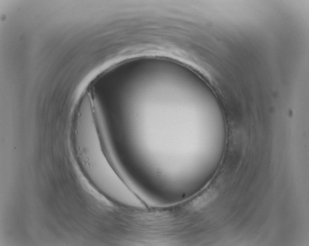 X0000066091518200603171042