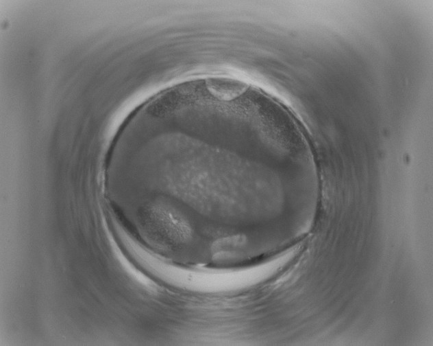 X0000066091519200603171042