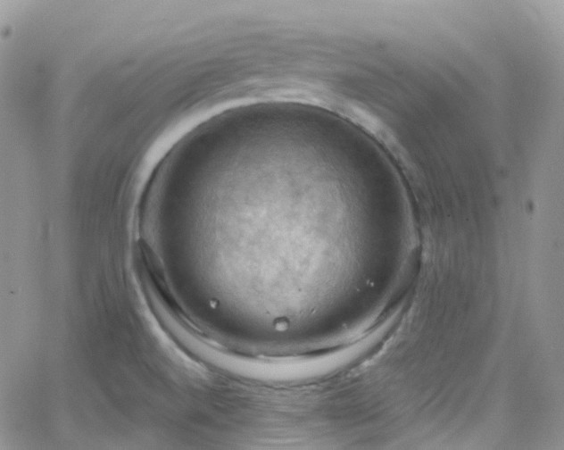 X0000066091520200603171042