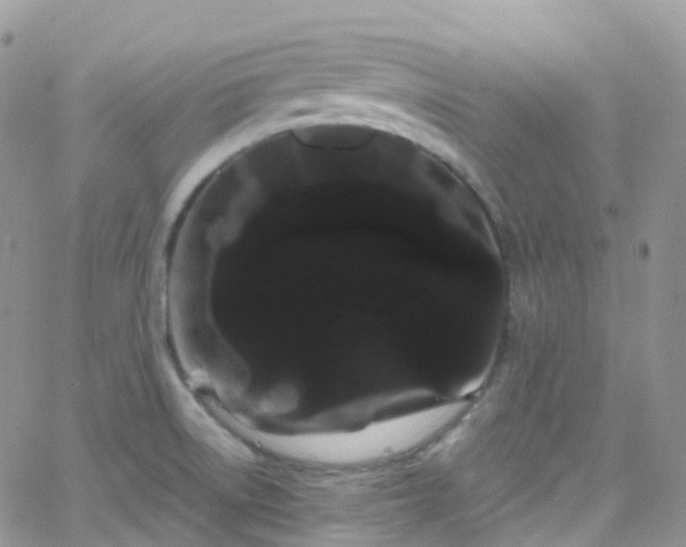 X0000066091522200603171043