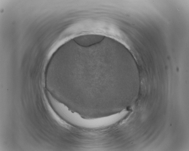 X0000066091523200603171043