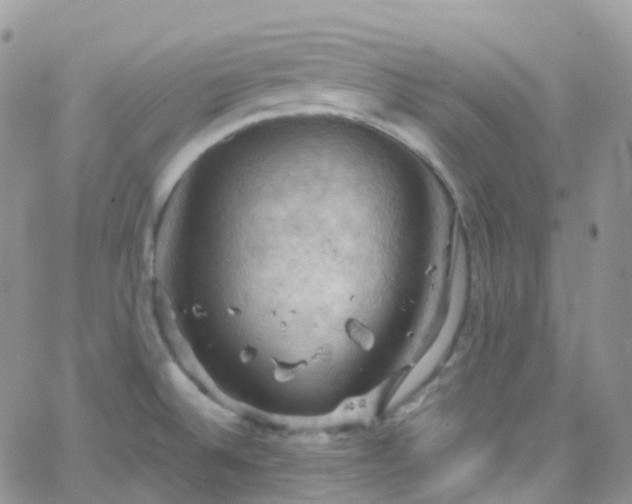 X0000066091524200603171043