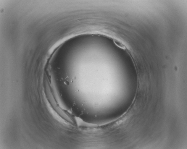 X0000066091526200603171043