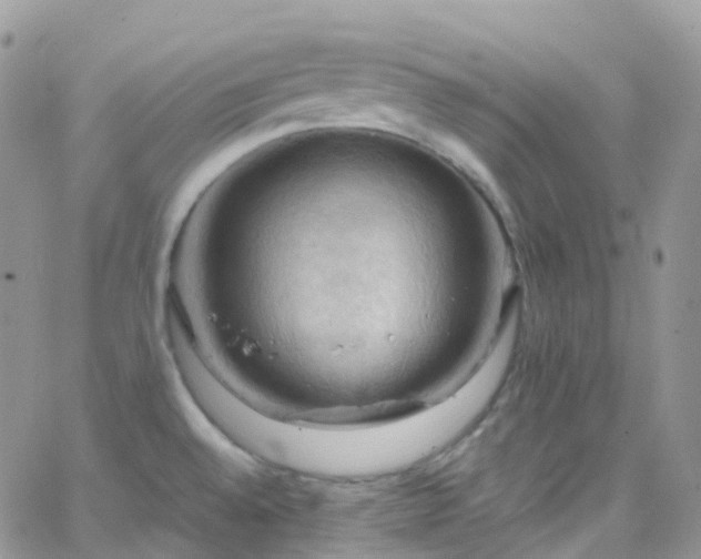 X0000066091528200603171043