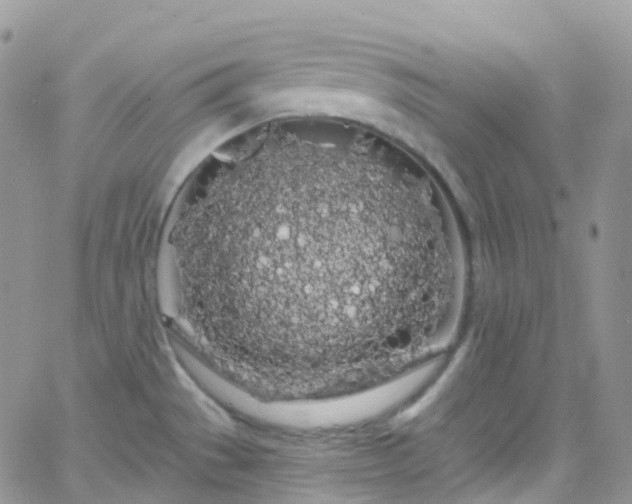 X0000066091529200603171043