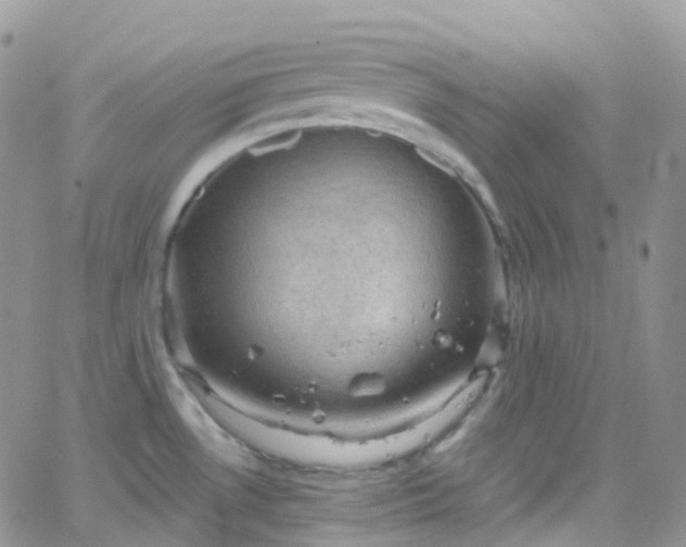 X0000066091530200603171043