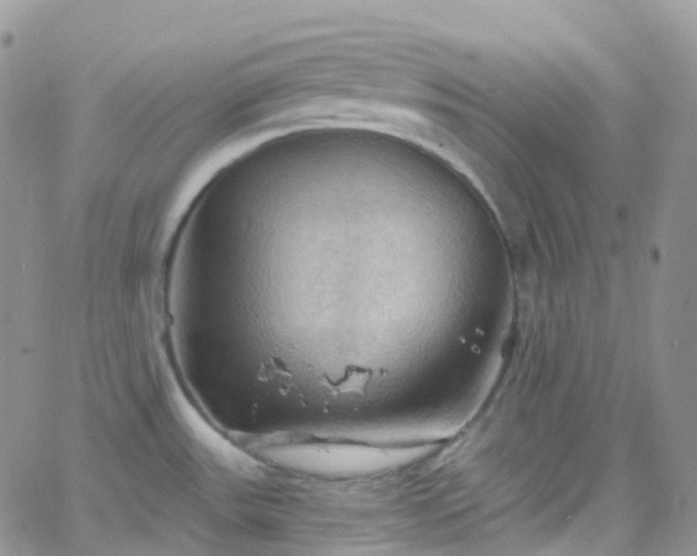 X0000066091531200603171043