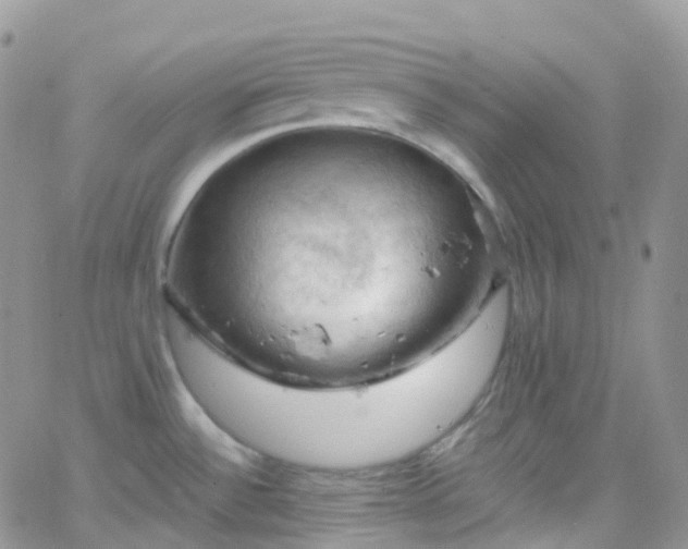 X0000066091532200603171043