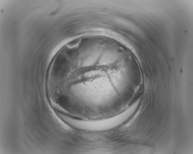 X0000066091533200603171043