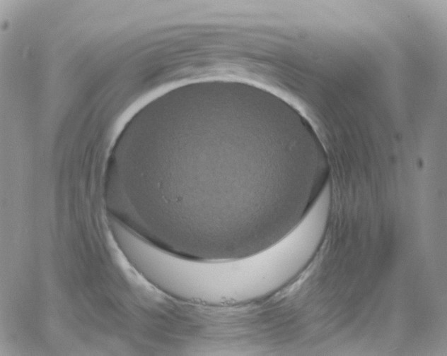 X0000066091534200603171043