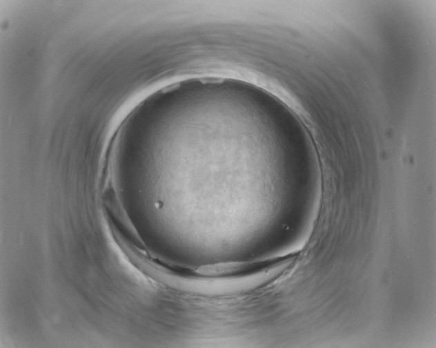 X0000066091536200603171043