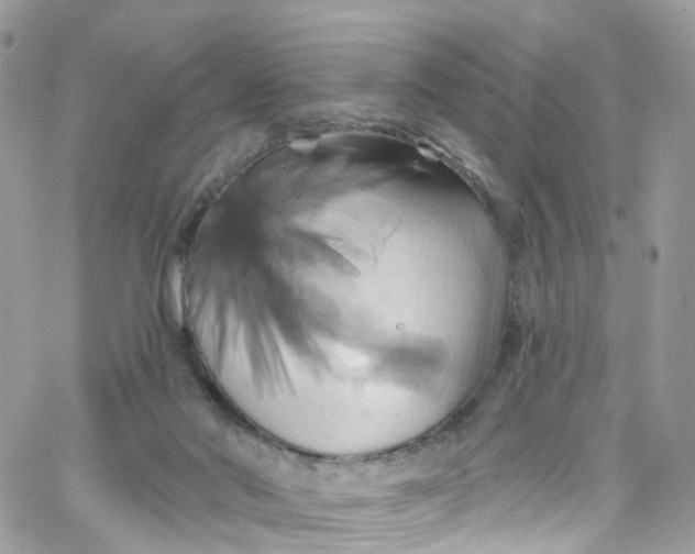 X0000066090022200603241508