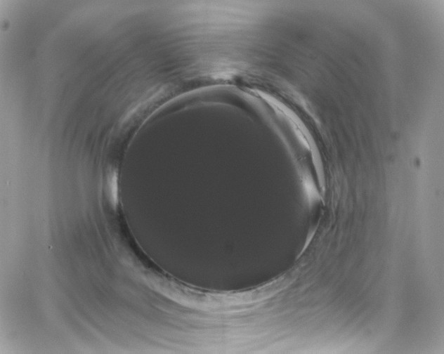 X0000066090027200603241508