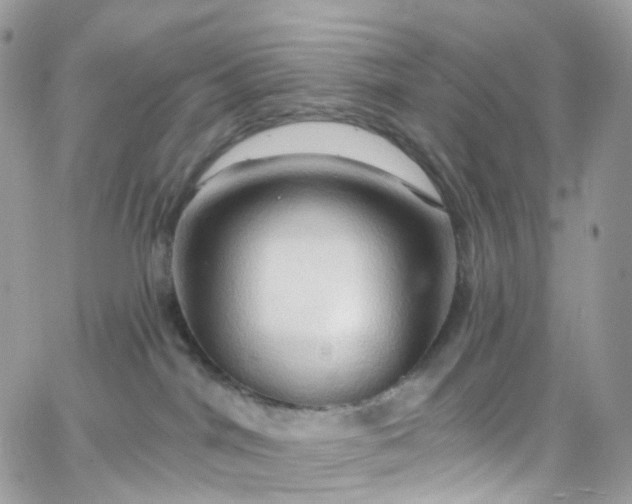 X0000066090044200603241508