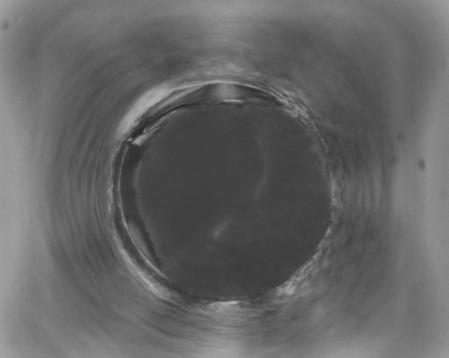 X0000066090054200603241507