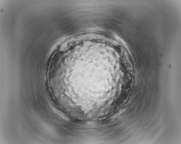 X0000066090059200603241507