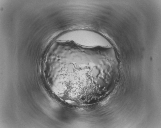 X0000066090062200603241507