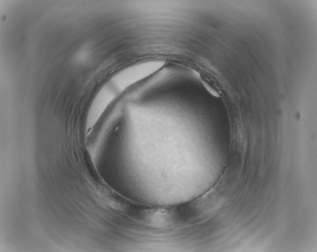 X0000066090074200603241507