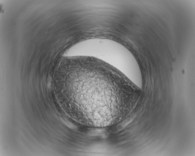 X0000066090081200603241507