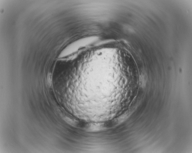 X0000066090093200603241508